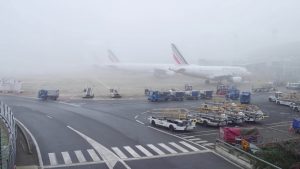fog flight insurance