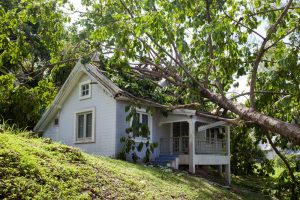 tree fell on house insurance claim